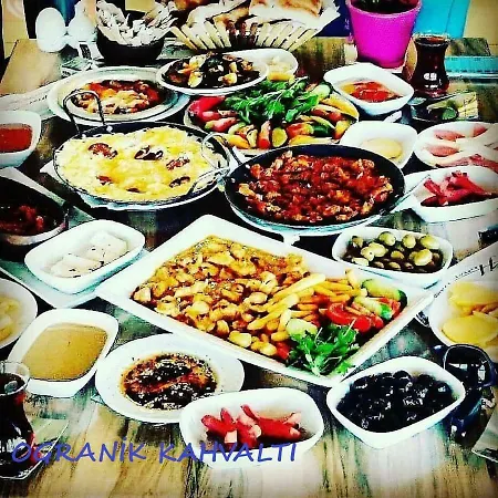 Selale Stone House Boutique * 디킬리