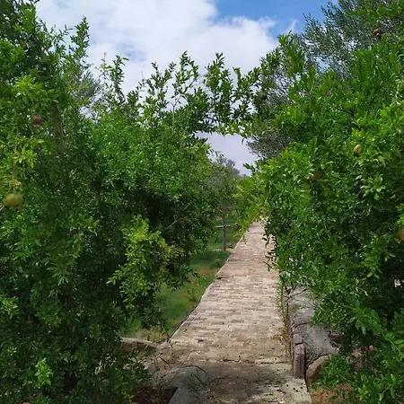 Selale Stone House Boutique 호텔 디킬리