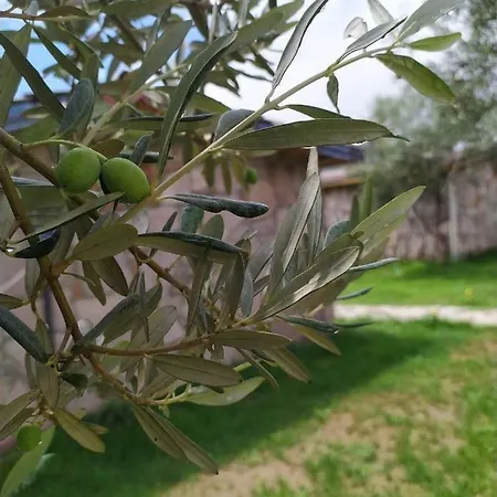 Selale Stone House Boutique 호텔