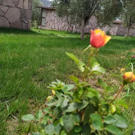 Selale Stone House Boutique Hotel *