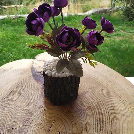 Selale Stone House Boutique Dikili