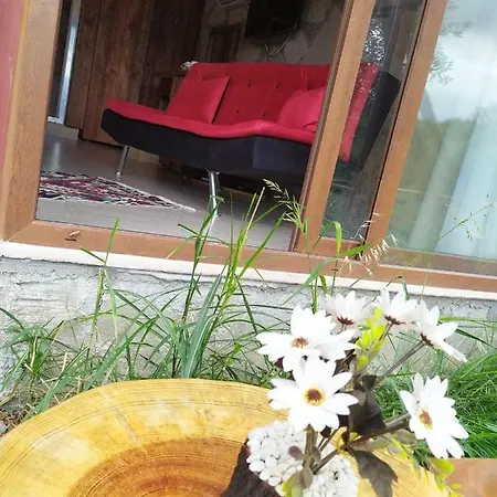 호텔 Selale Stone House Boutique *