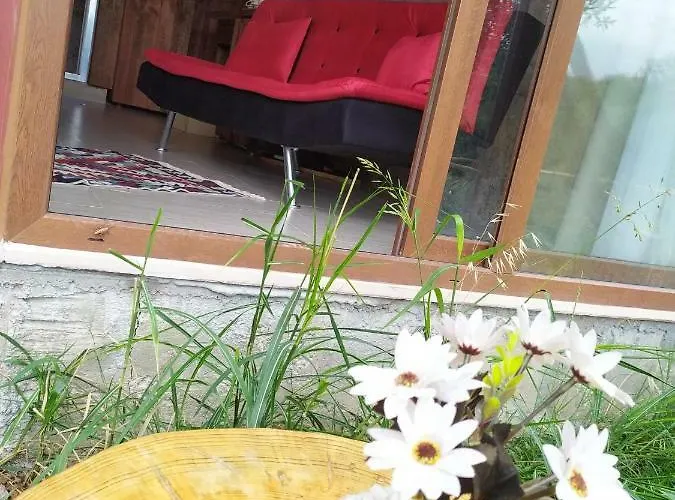 Hotel Selale Stone House Boutique *