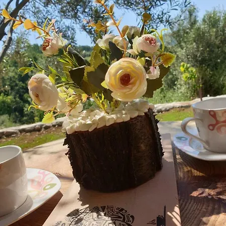 Selale Stone House Boutique Hotel Dikili