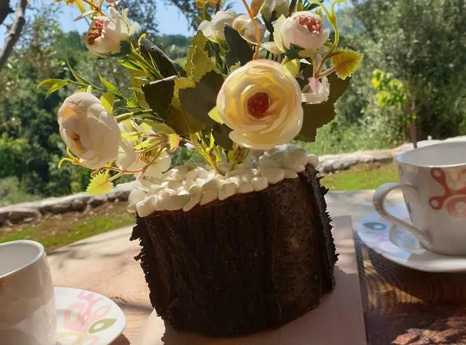 Selale Stone House Boutique Szálloda Dikili