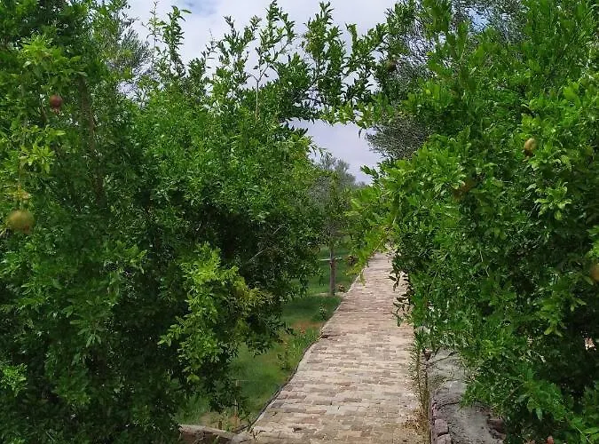 Selale Stone House Boutique Otel Dikili