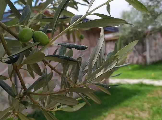 Selale Stone House Boutique Otel