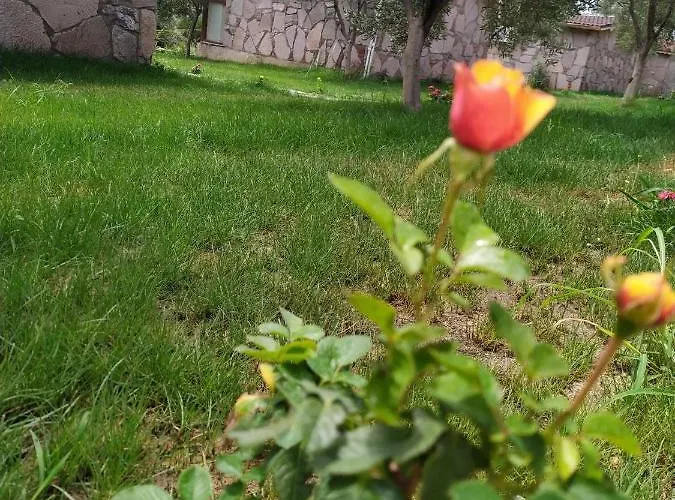 Selale Stone House Boutique Szálloda *